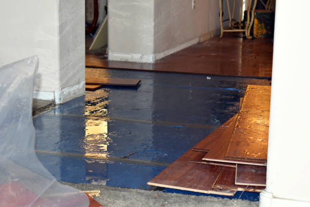 Professional Crawl Space Water Removal technician working in Orange City, FL